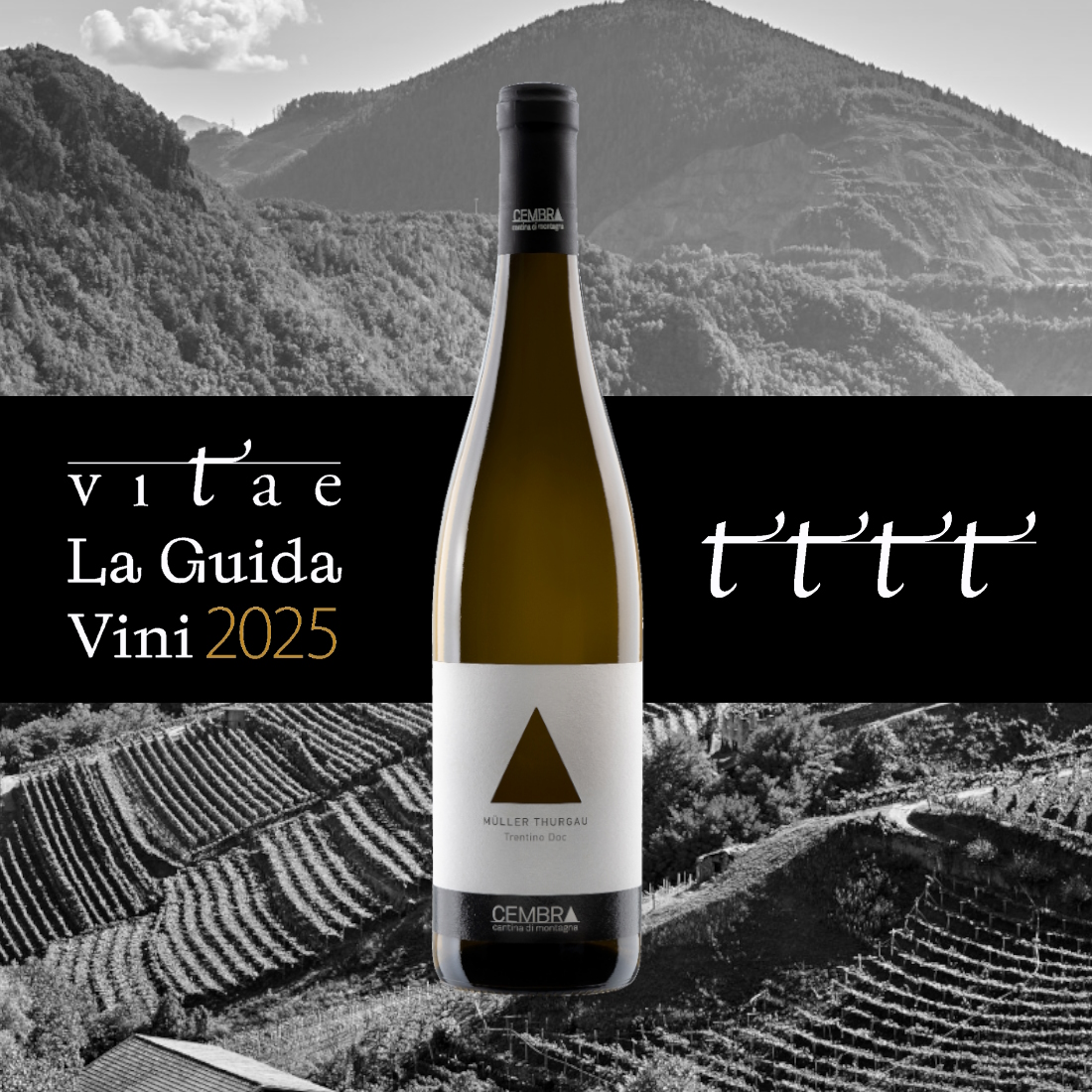 premio 4 viti 2025